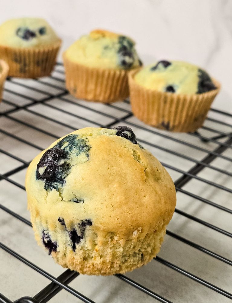 vegan-blueberry-muffin-recipe