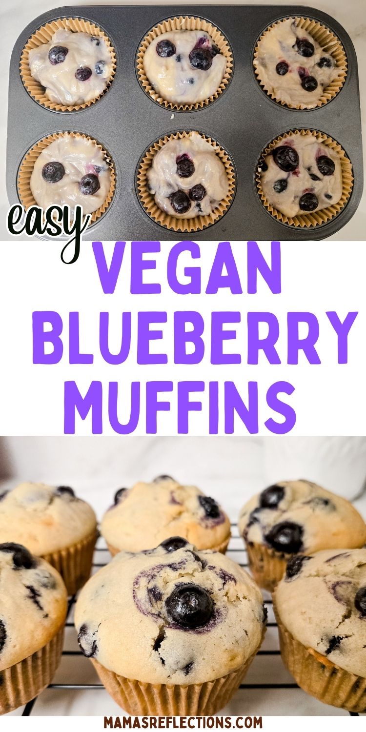 Easy-Homemade-Moist-Blueberry-Muffins
