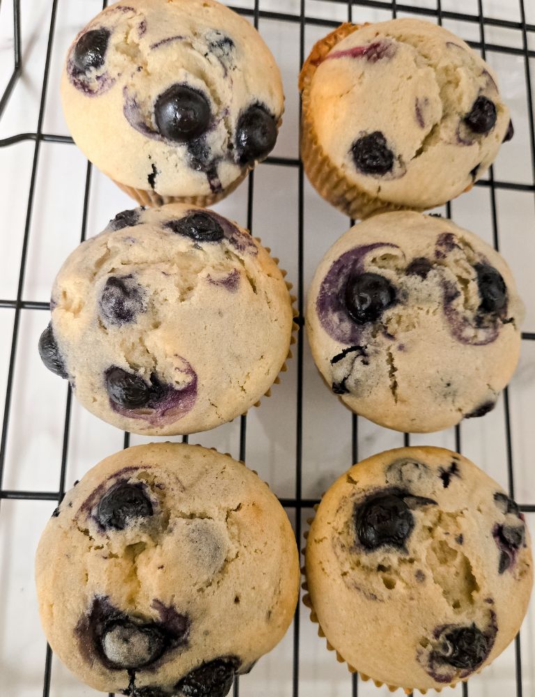 Easy-Homemade-Moist-Blueberry-Muffins