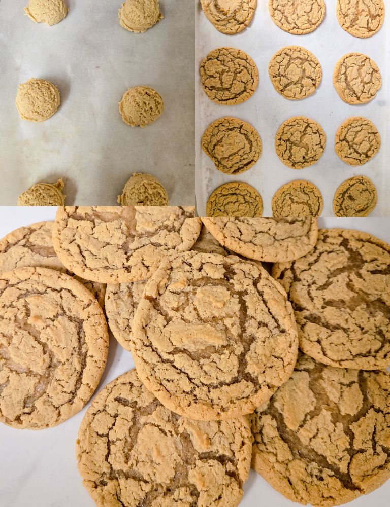 Vegan-Chocolate-Chipless-Cookies