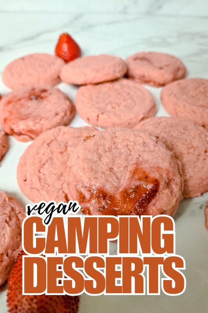 vegan camping desserts