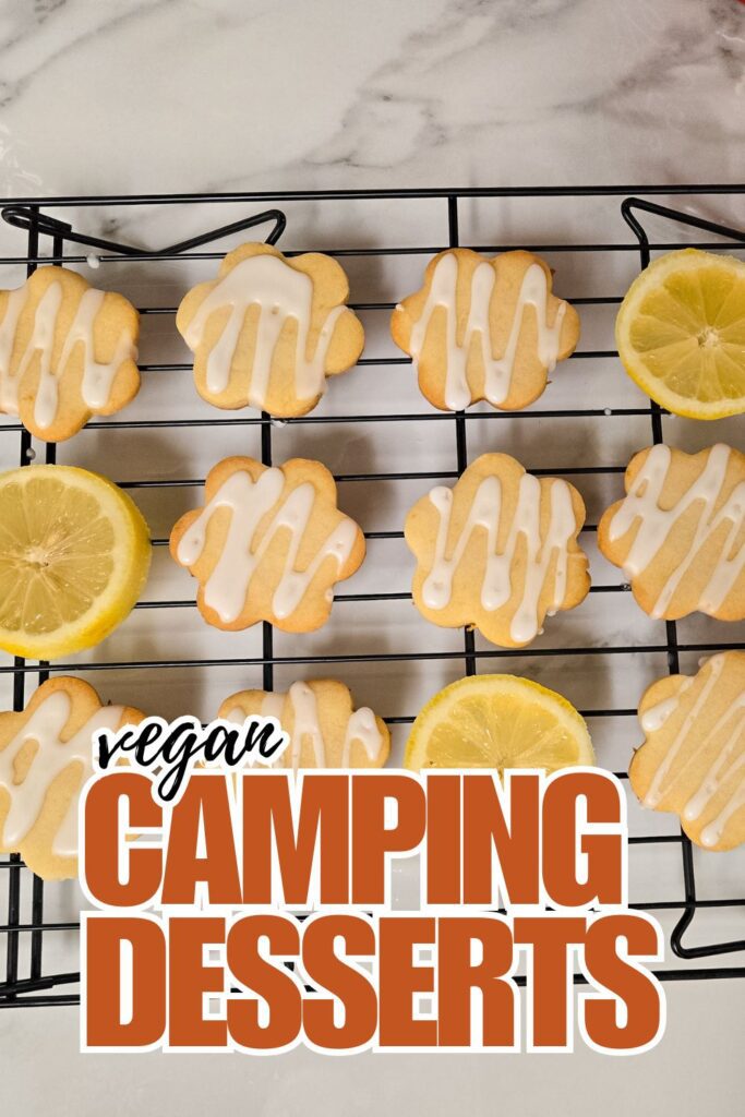 vegan camping desserts