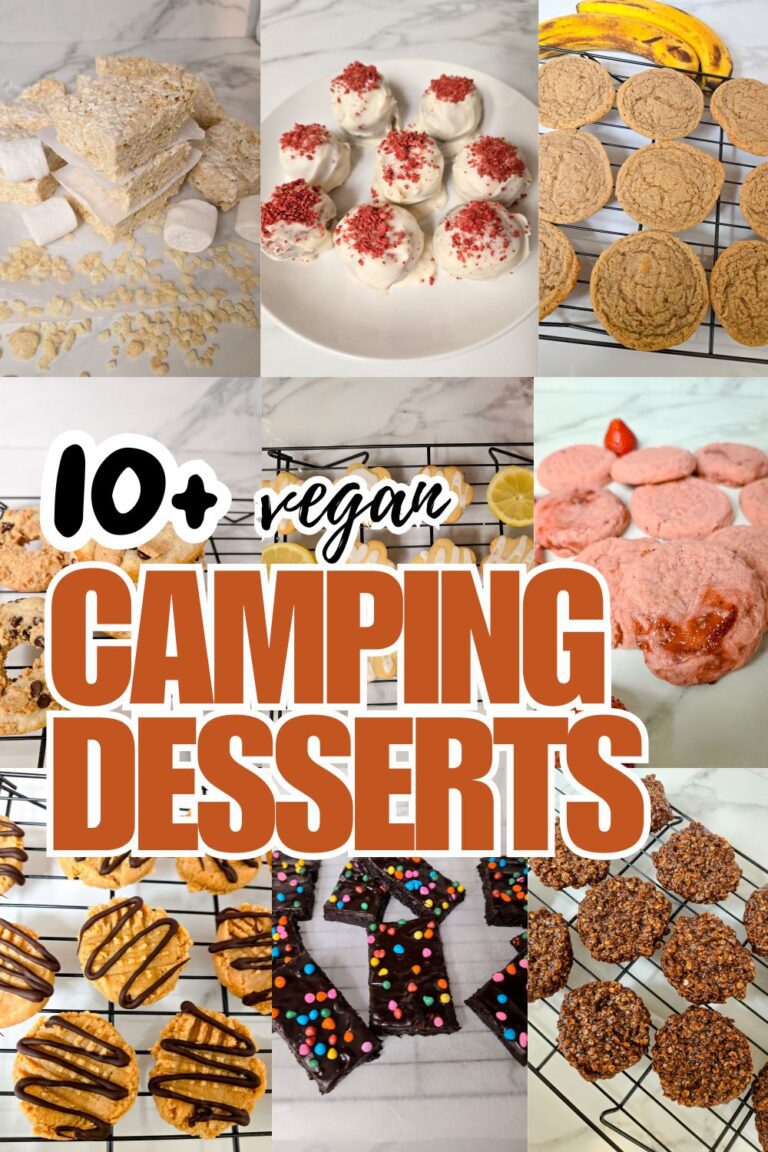 vegan camping desserts