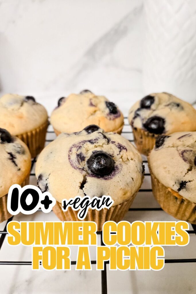 vegan-summer-treats-for-a-picnic.