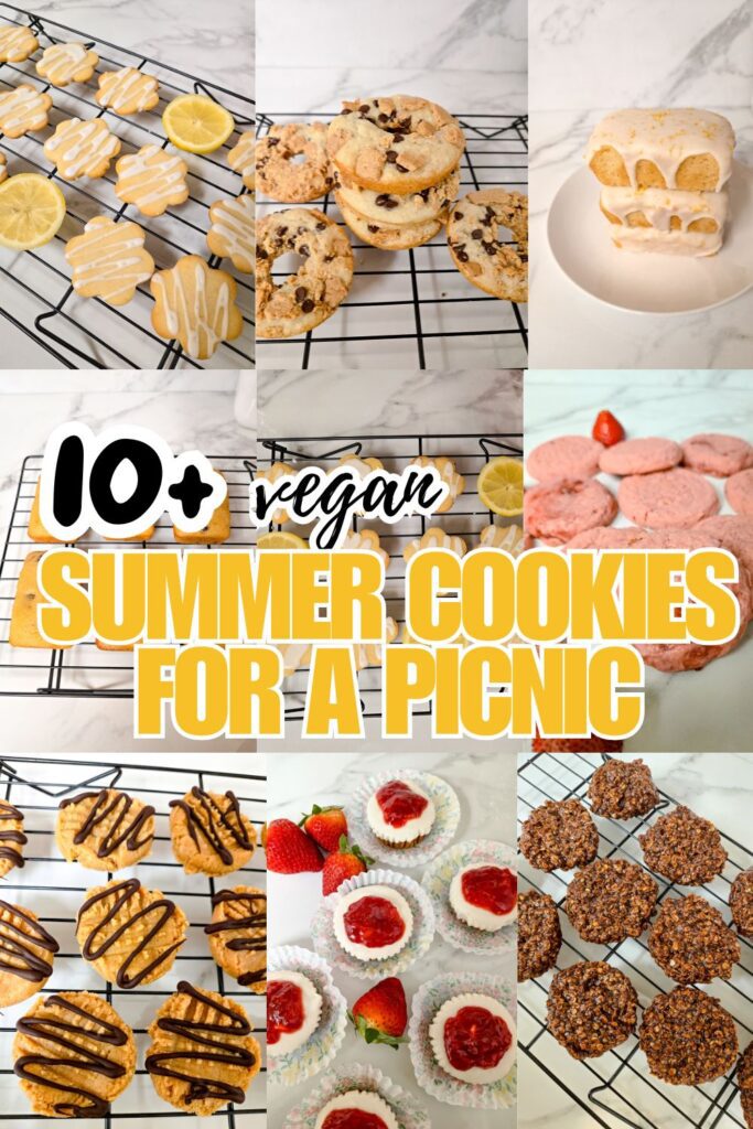vegan-summer-treats-for-a-picnic.