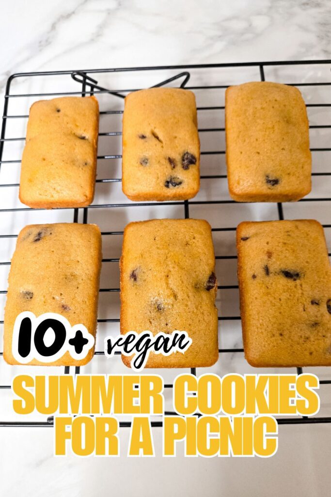 vegan-summer-treats-for-a-picnic.