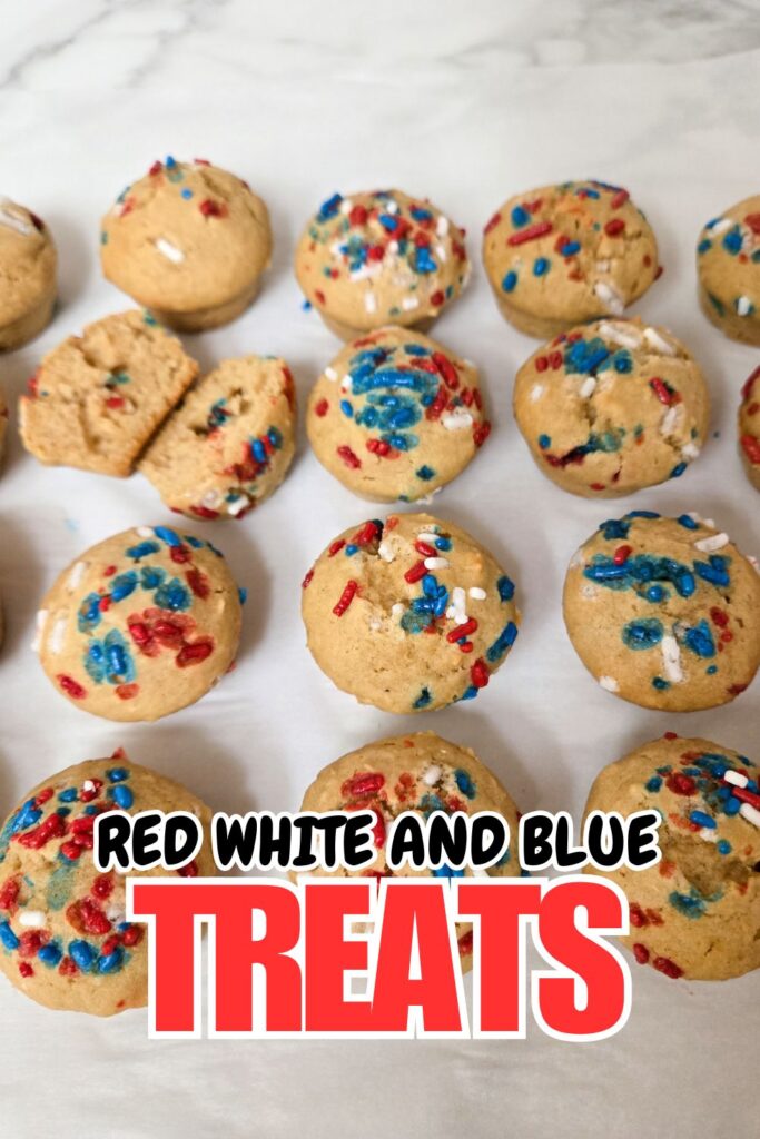 vegan-red-white-and-blue-vegan-treats