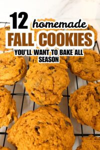 12 Vegan Fall Cookie Recipes