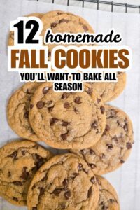 12 Vegan Fall Cookie Recipes