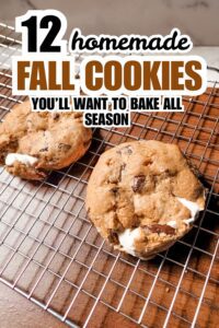 12 Vegan Fall Cookie Recipes