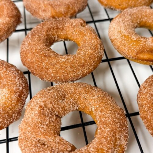 Baked Vegan Pumpkin Donuts