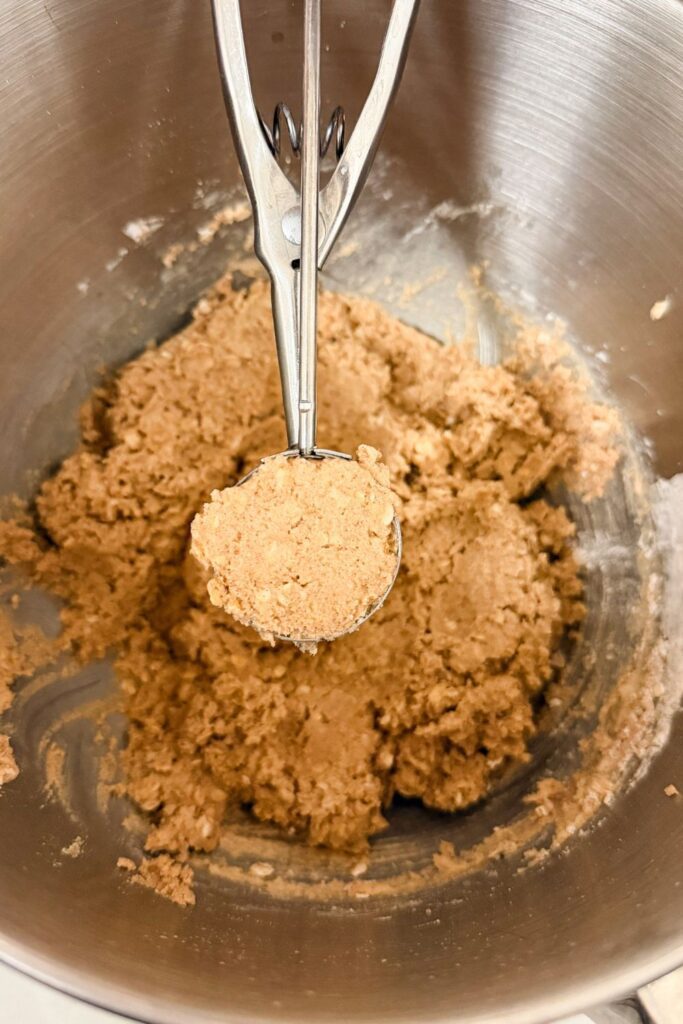 Vegan Oatmeal Cream Pies