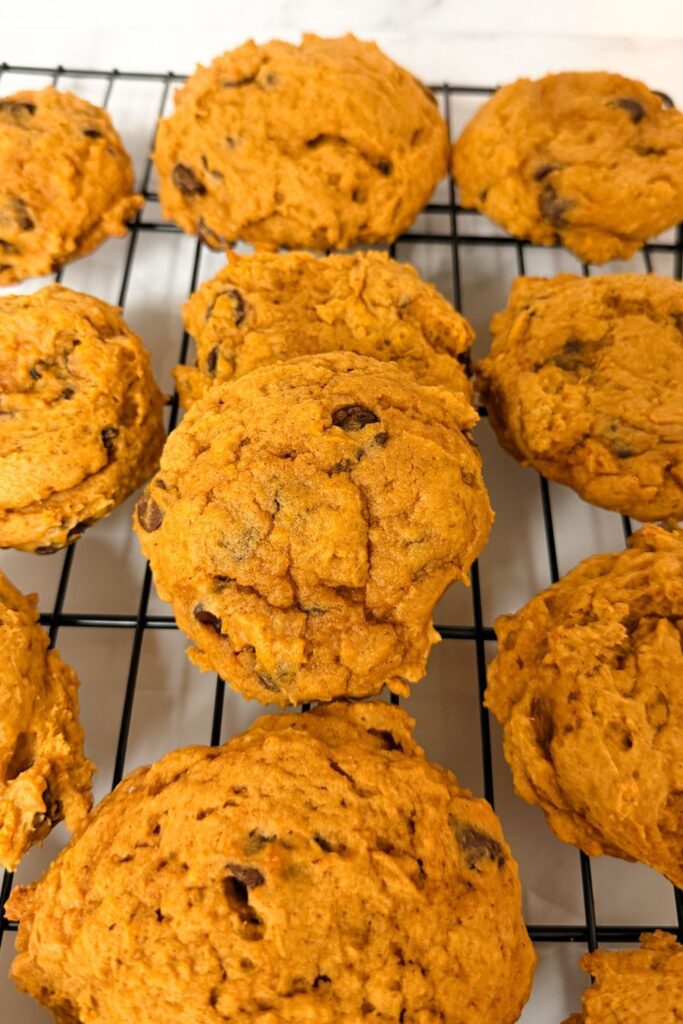 vegan pumpkin chocolate chip cookies