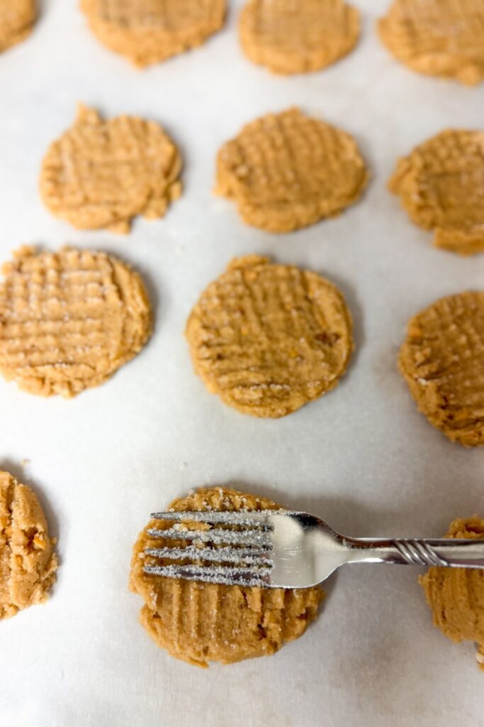Vegan-Peanut-Butter-Cookies